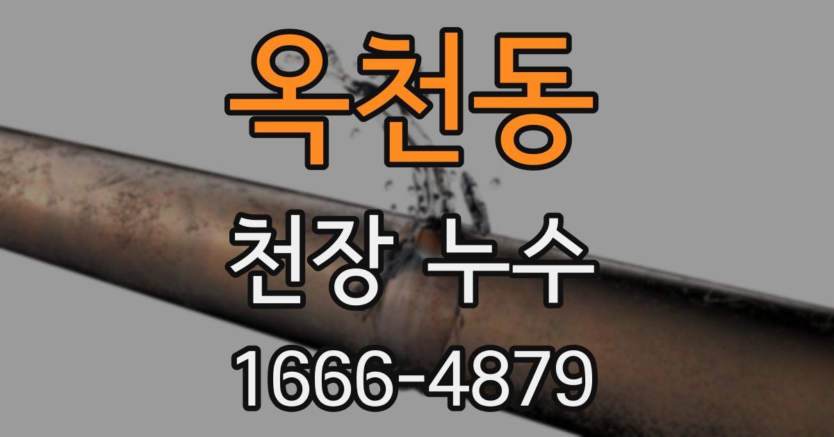 옥천동 천장 누수