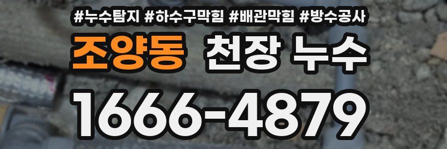 조양동 천장 누수