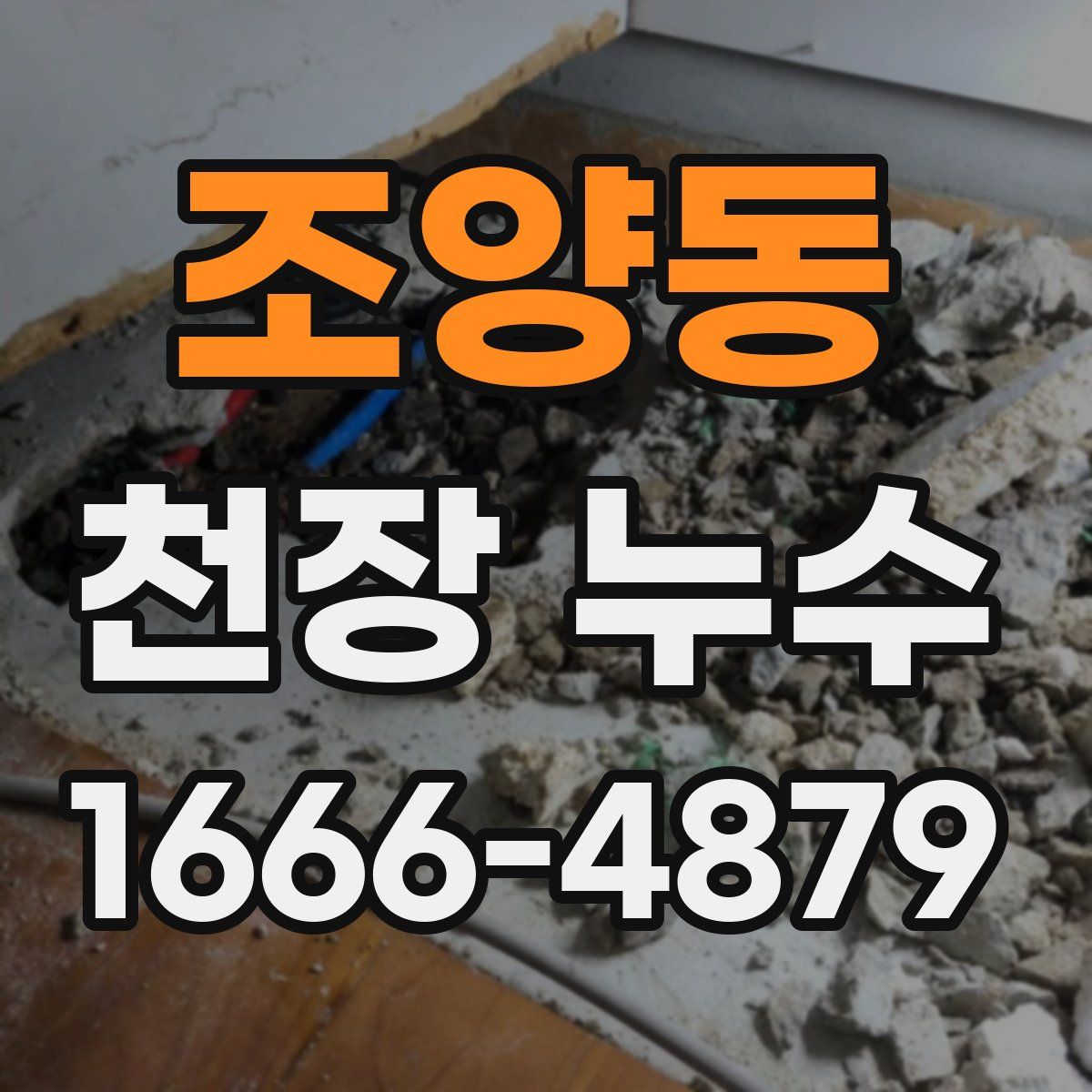 조양동 천장 누수