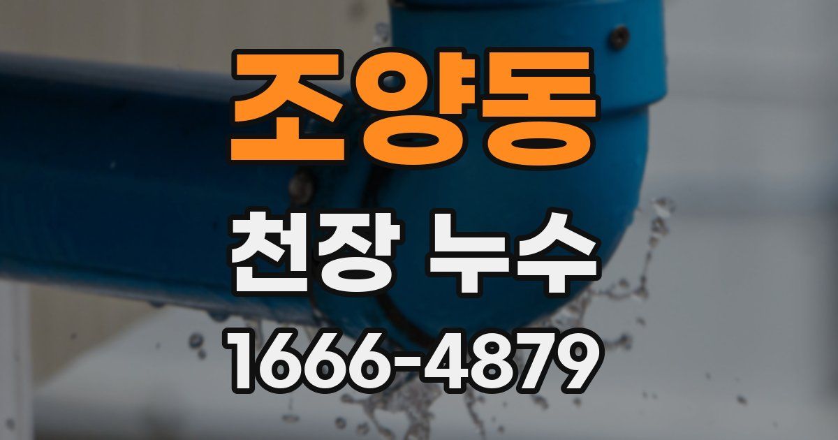 조양동 천장 누수
