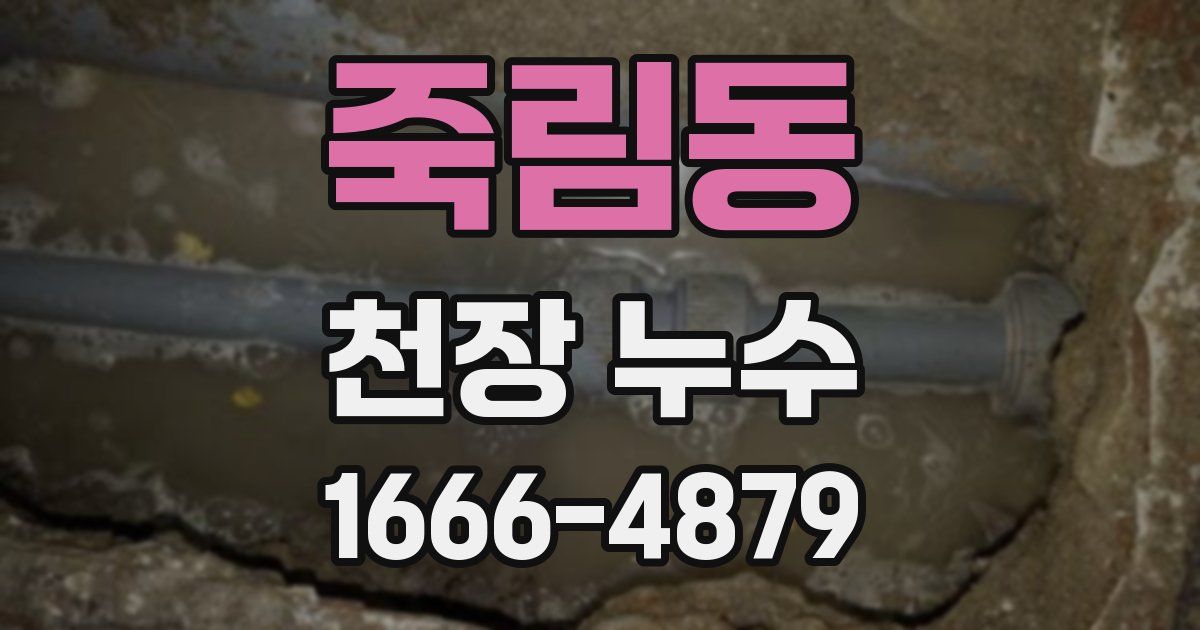 죽림동 천장 누수
