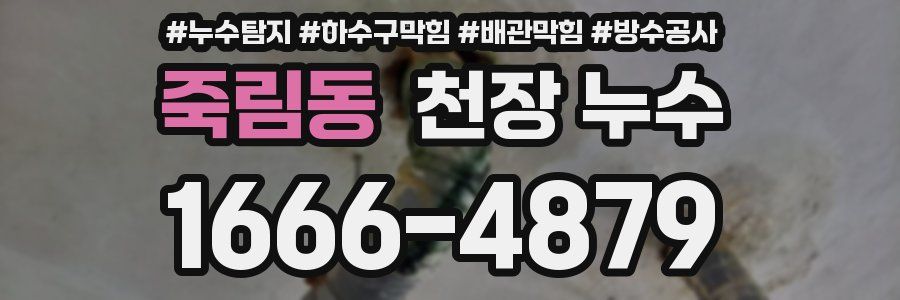 죽림동 천장 누수