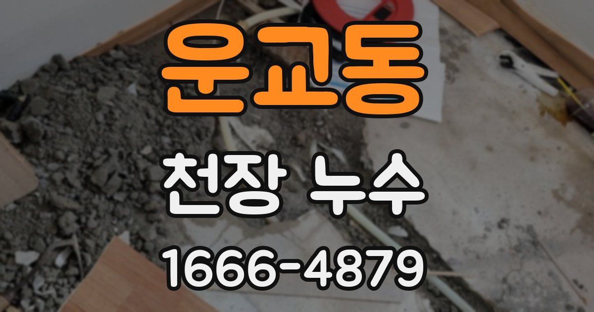 운교동 천장 누수