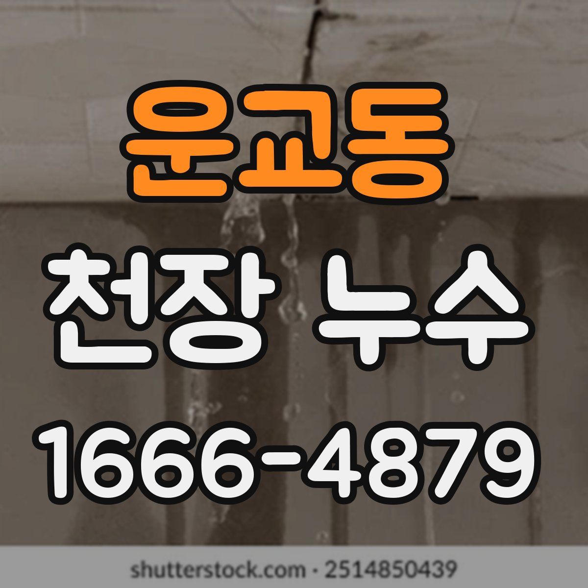 운교동 천장 누수