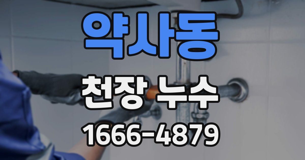 약사동 천장 누수