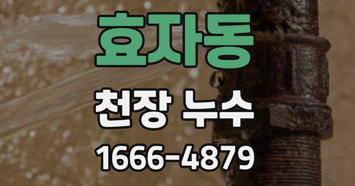 효자동 천장 누수