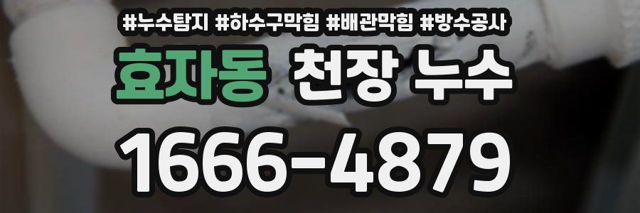 효자동 천장 누수