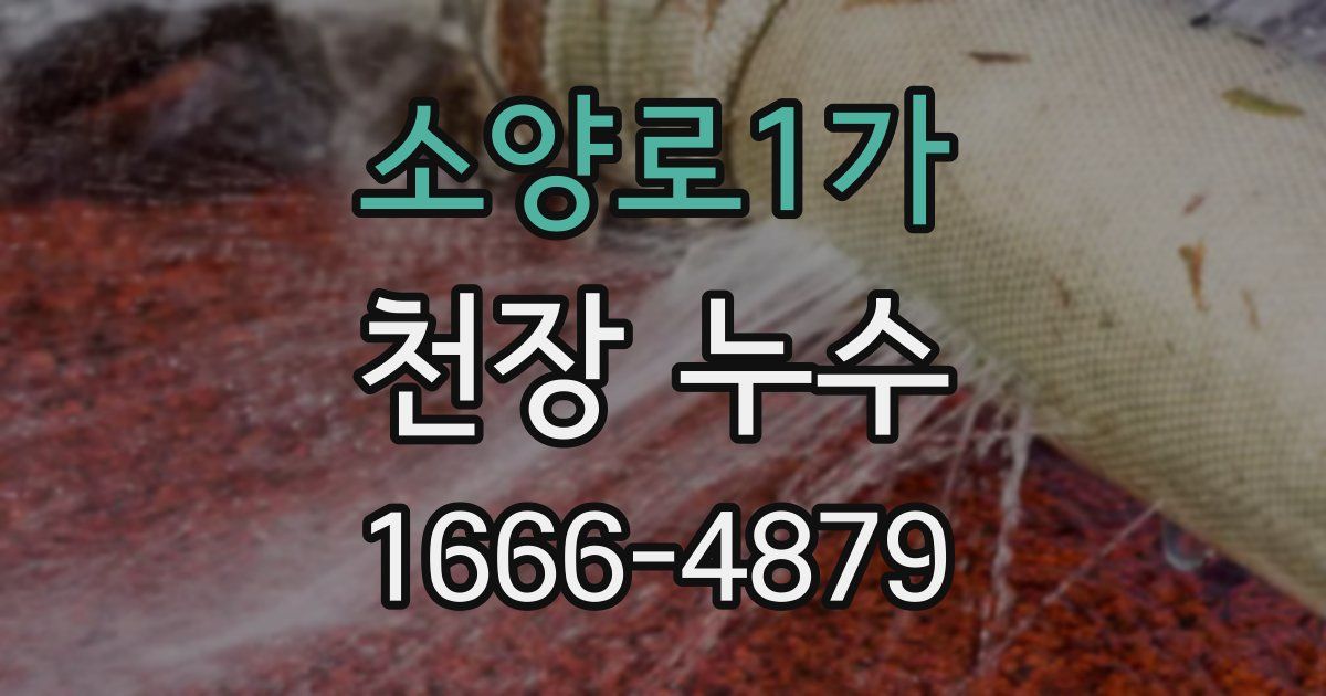 소양로1가 천장 누수