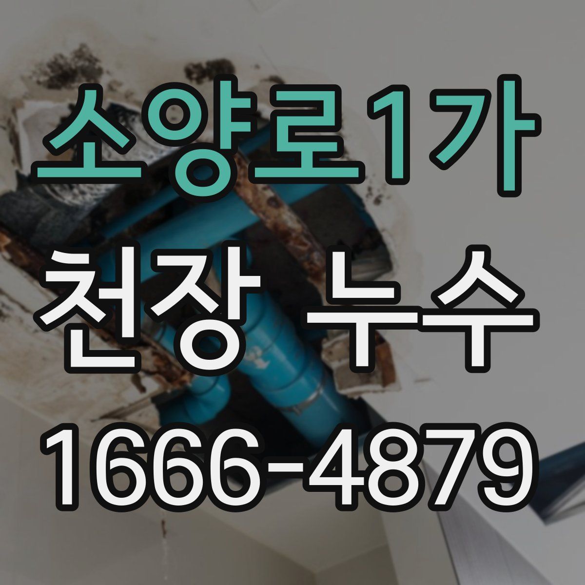 소양로1가 천장 누수