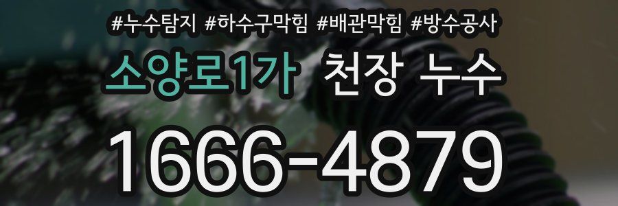 소양로1가 천장 누수