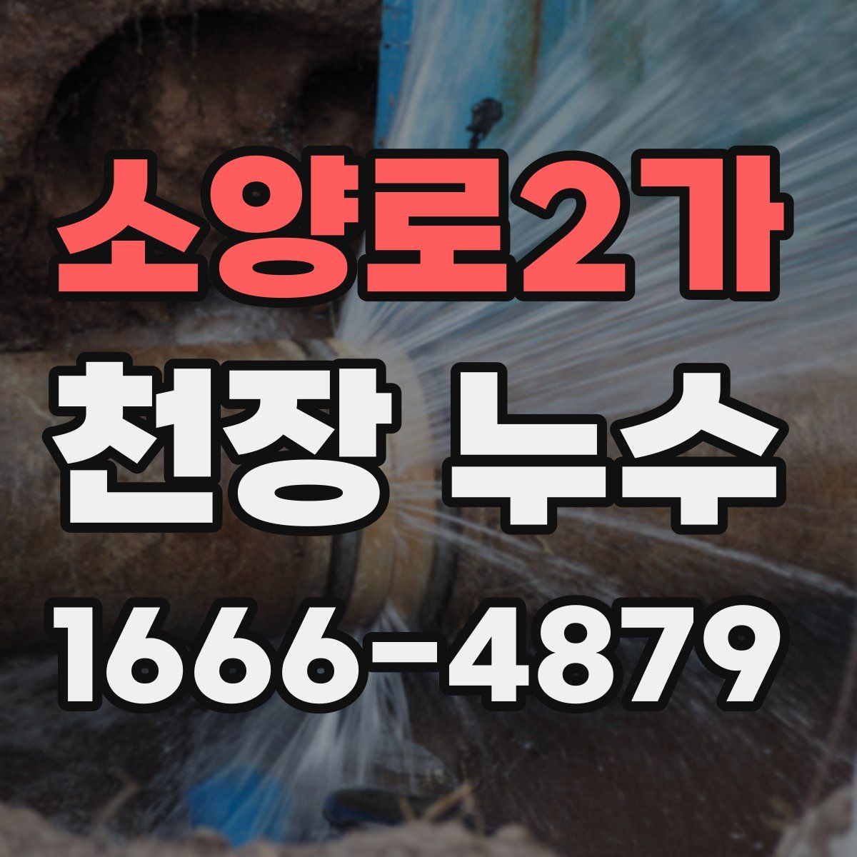 소양로2가 천장 누수