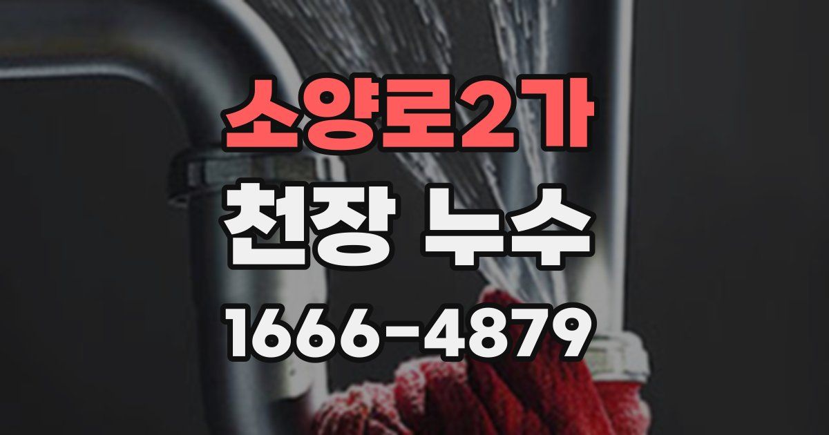소양로2가 천장 누수