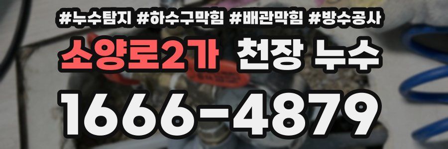 소양로2가 천장 누수