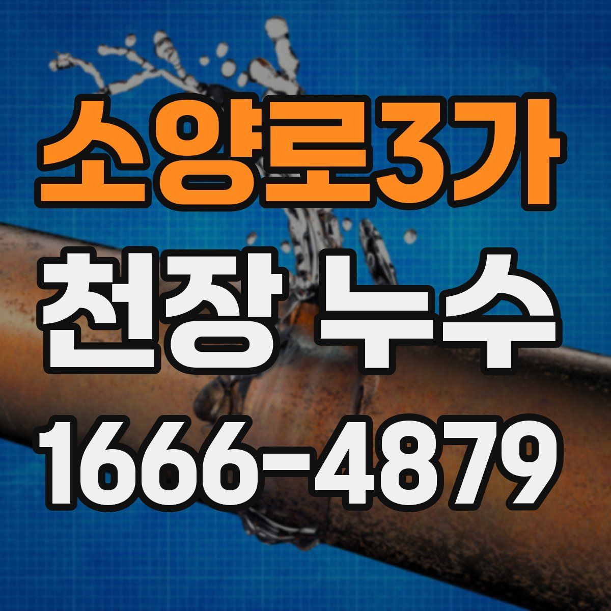 소양로3가 천장 누수