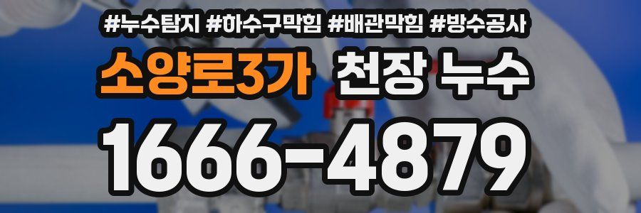 소양로3가 천장 누수