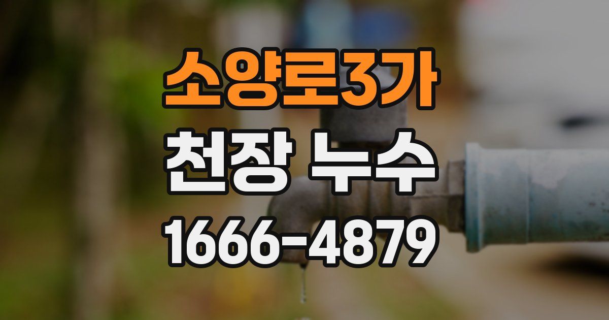 소양로3가 천장 누수