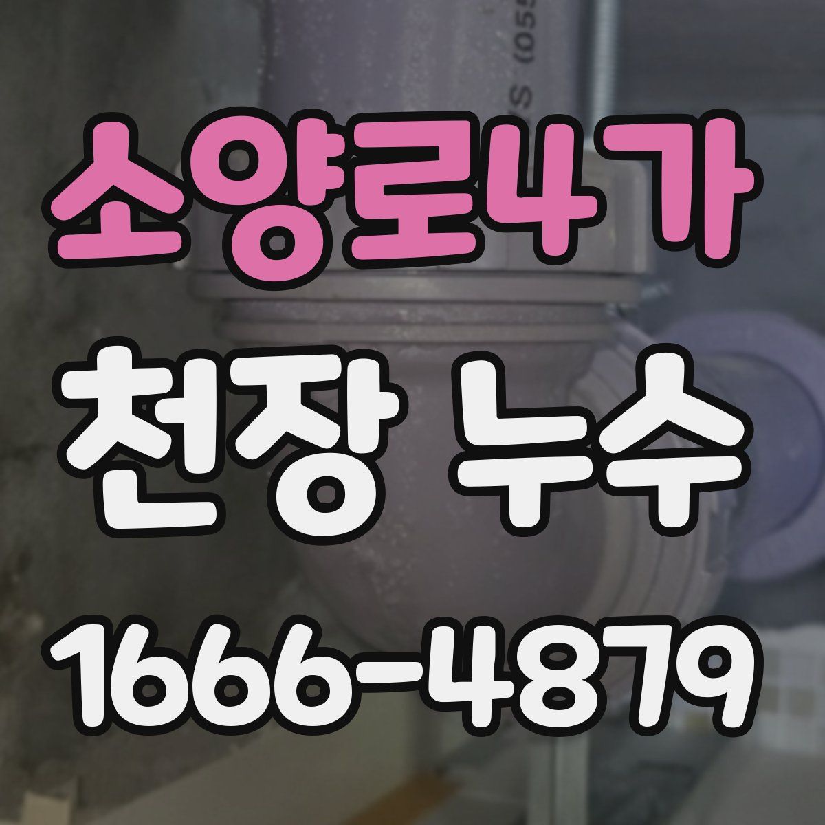 소양로4가 천장 누수