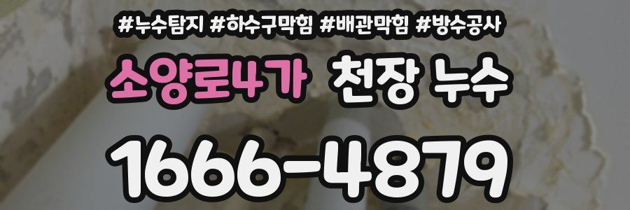 소양로4가 천장 누수
