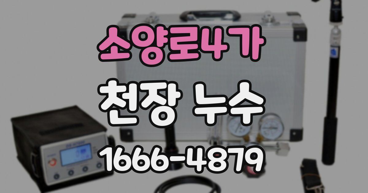 소양로4가 천장 누수