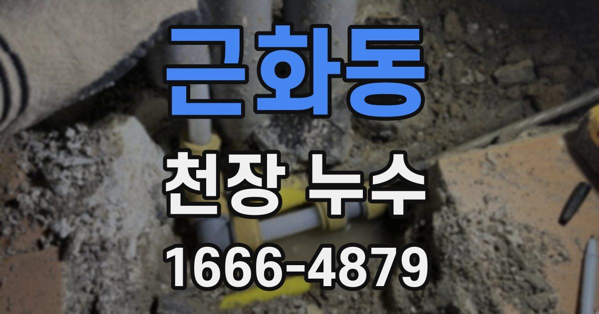 근화동 천장 누수