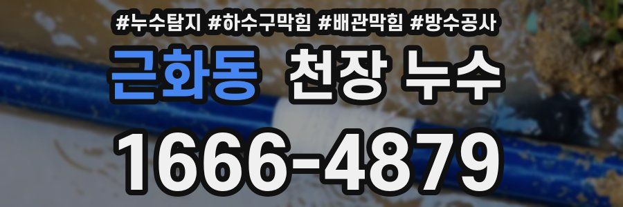 근화동 천장 누수