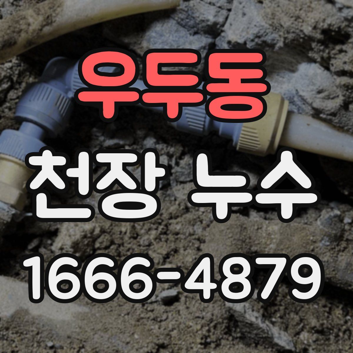 우두동 천장 누수