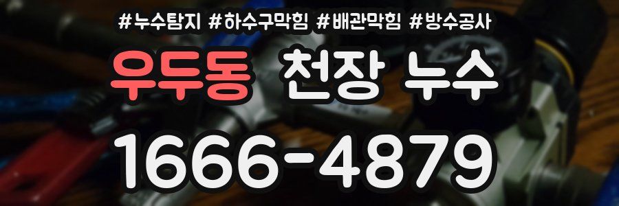 우두동 천장 누수