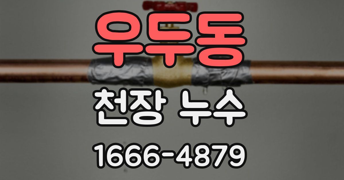 우두동 천장 누수