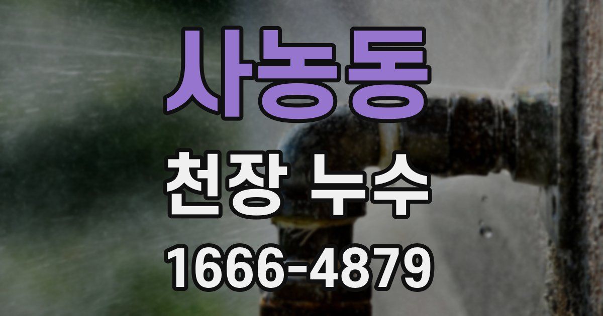 사농동 천장 누수