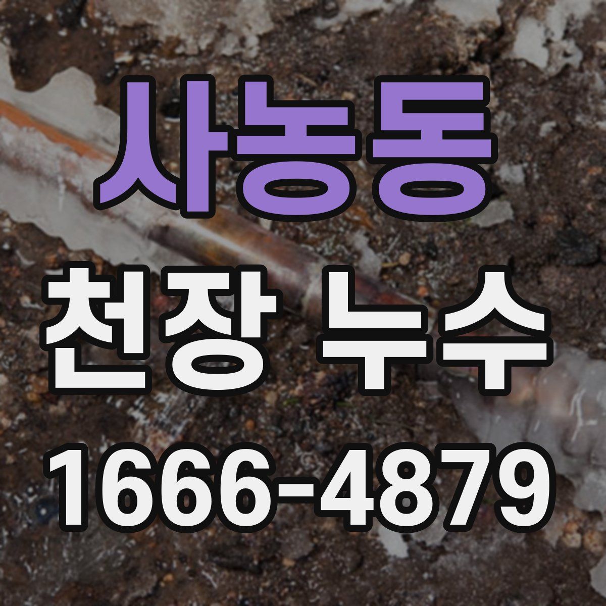사농동 천장 누수