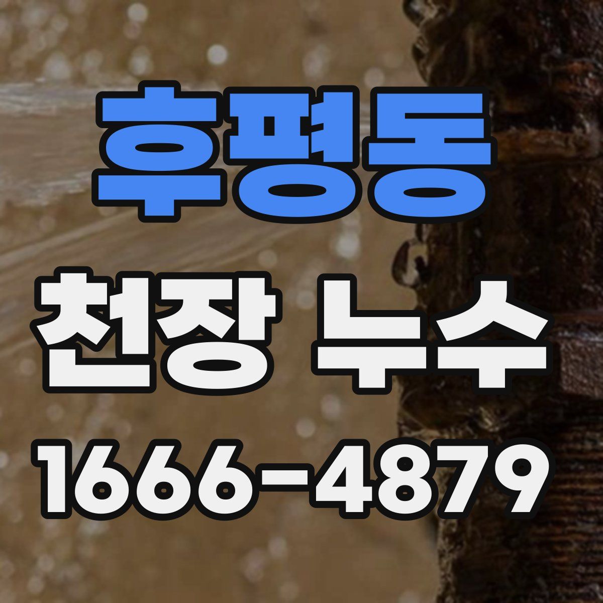 후평동 천장 누수