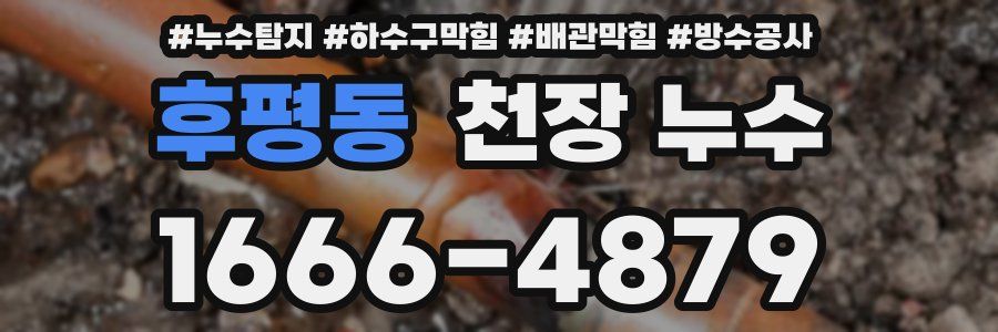 후평동 천장 누수