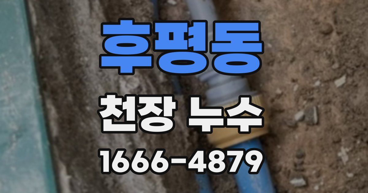후평동 천장 누수