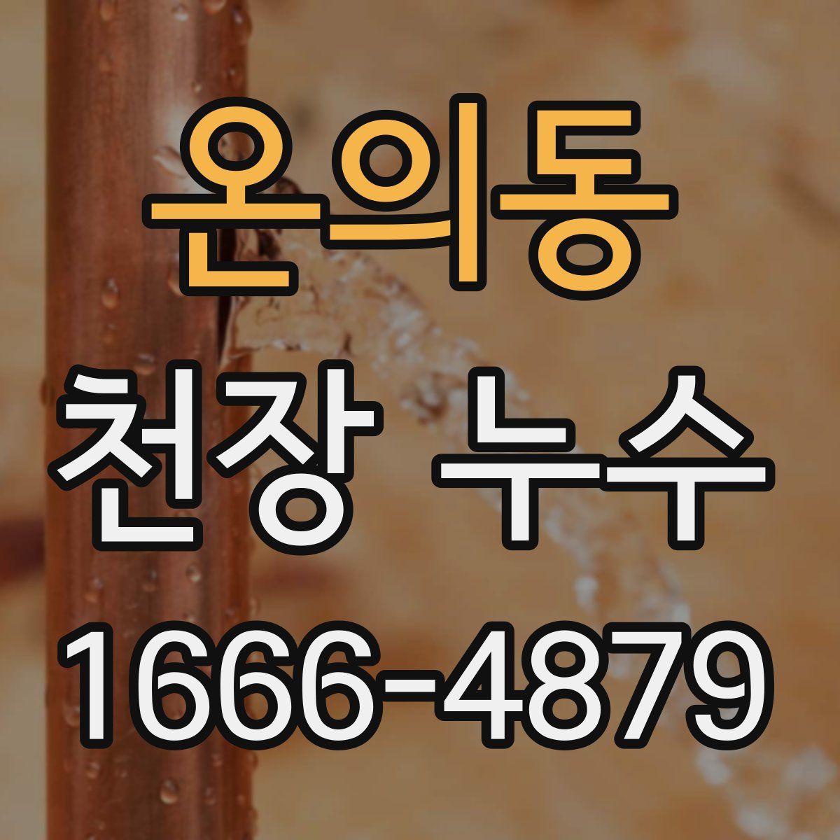 온의동 천장 누수