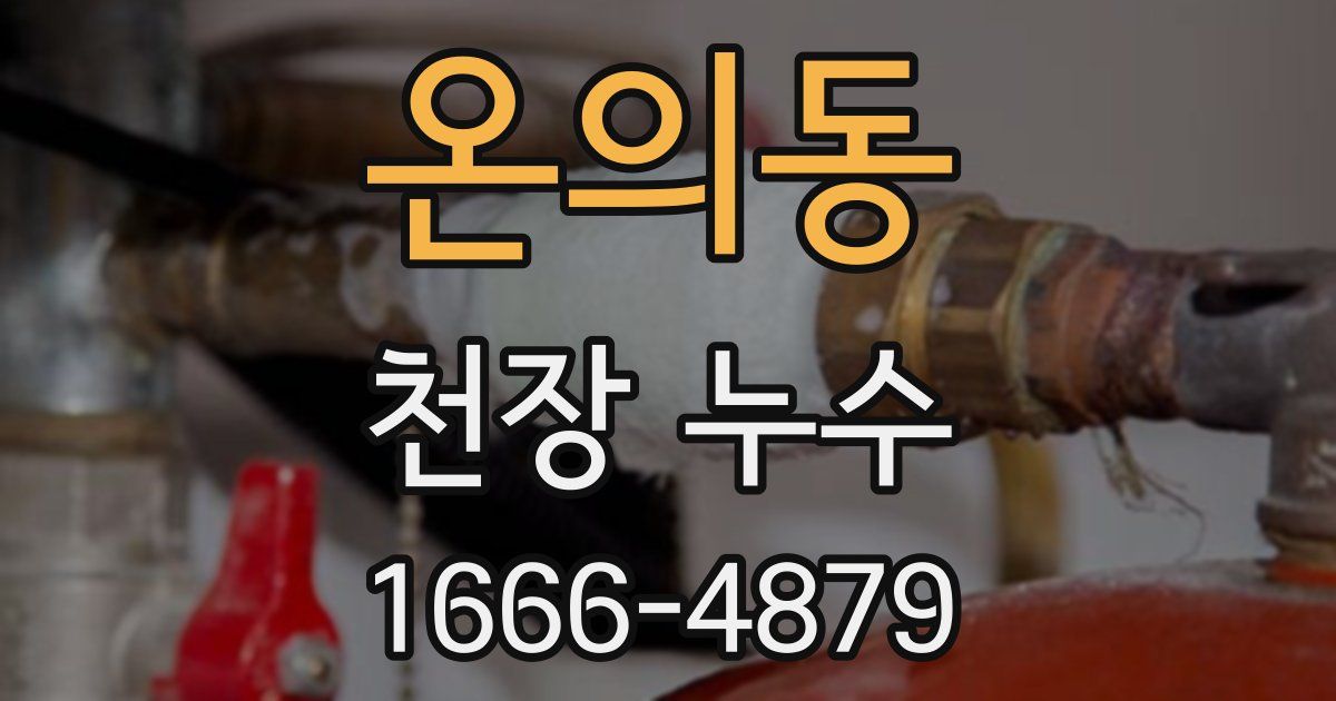 온의동 천장 누수