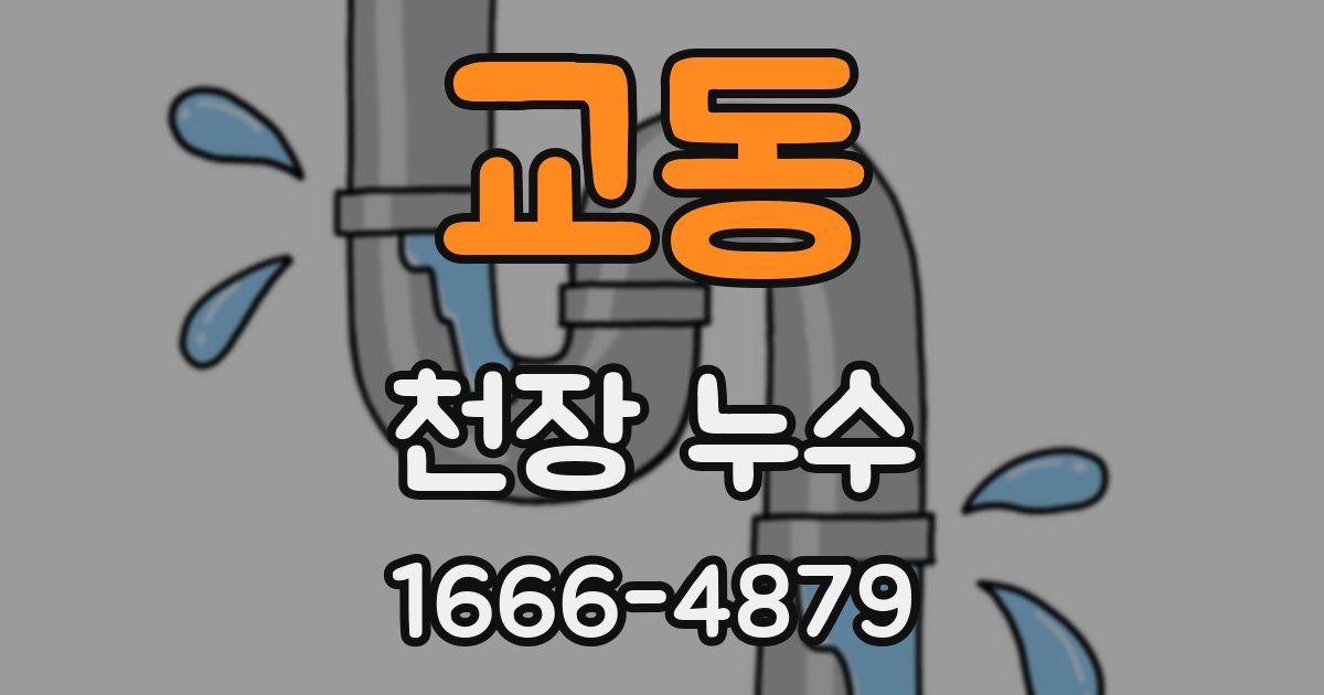 교동 천장 누수