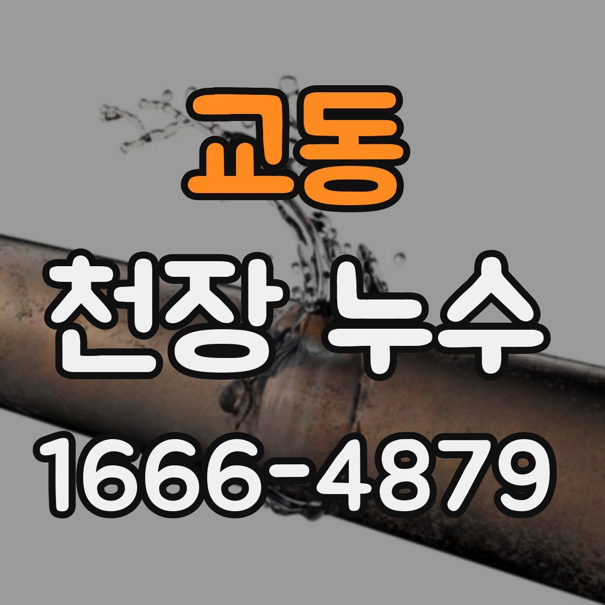 교동 천장 누수