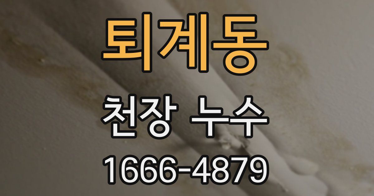 퇴계동 천장 누수