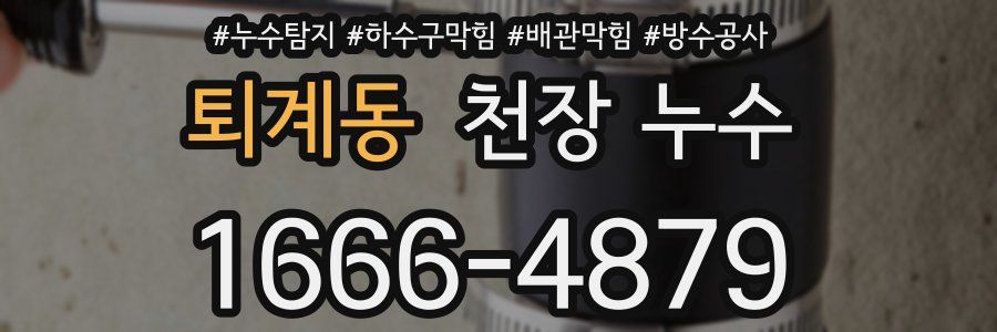 퇴계동 천장 누수