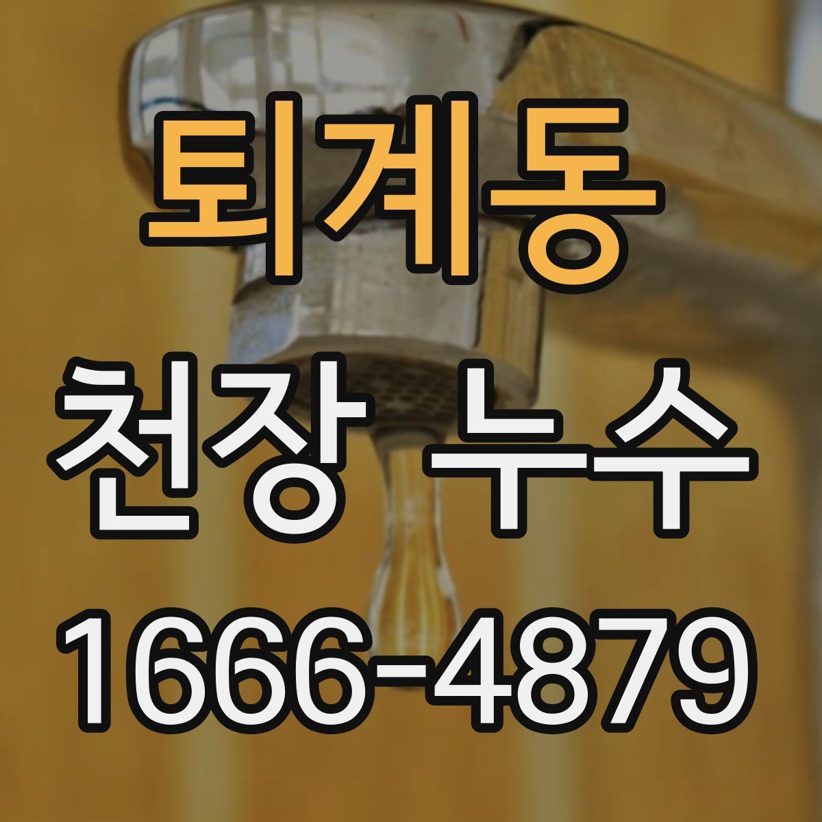 퇴계동 천장 누수