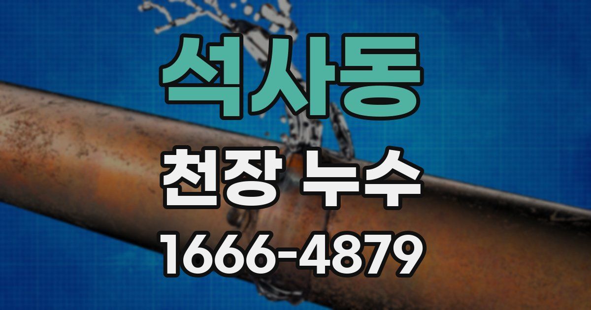 석사동 천장 누수