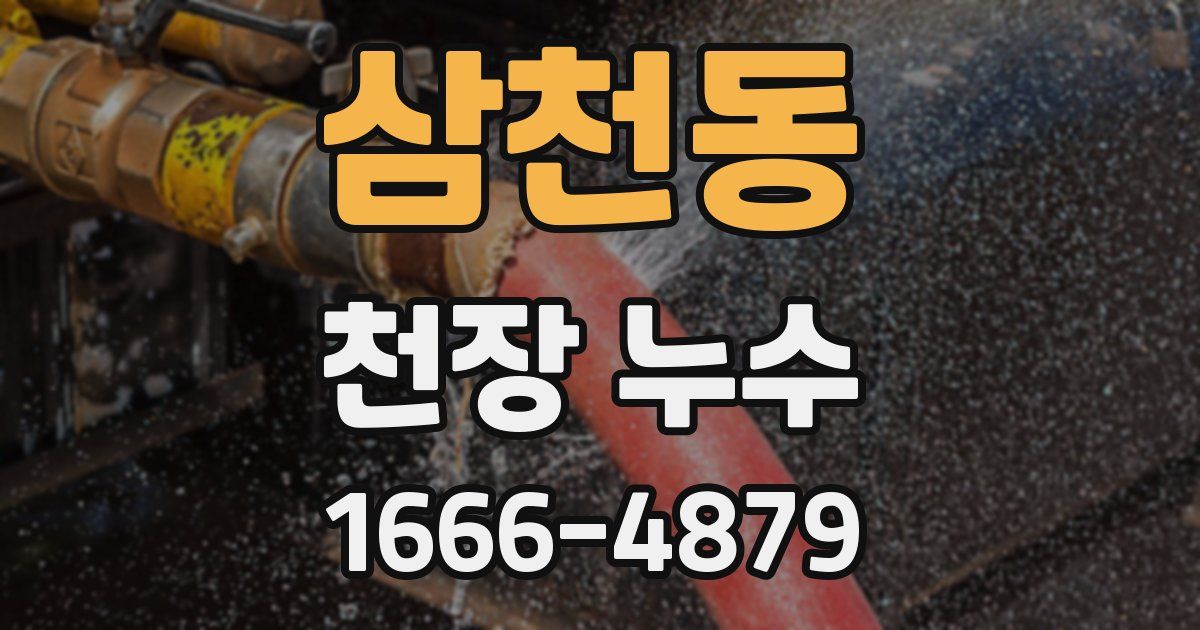 삼천동 천장 누수