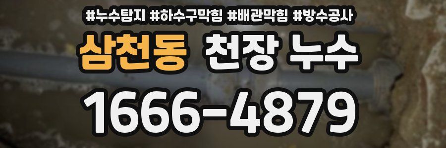 삼천동 천장 누수