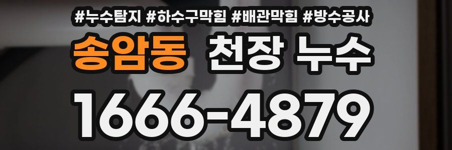 송암동 천장 누수