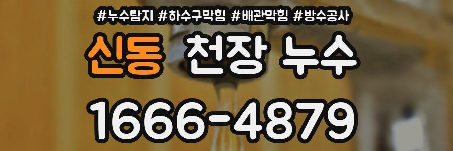 신동 천장 누수