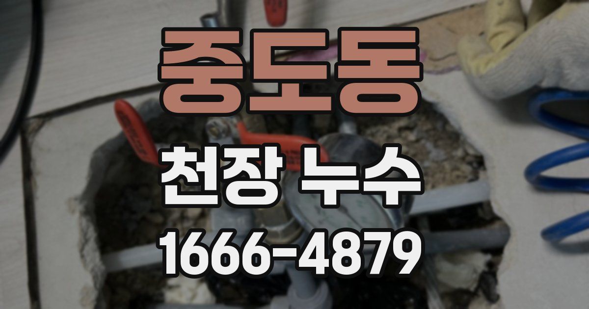 중도동 천장 누수