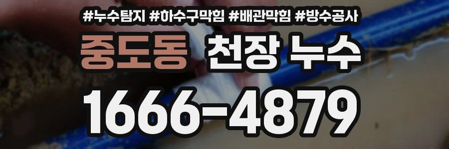 중도동 천장 누수