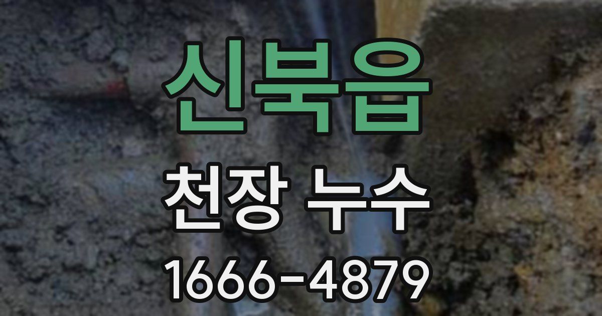 신북읍 천장 누수