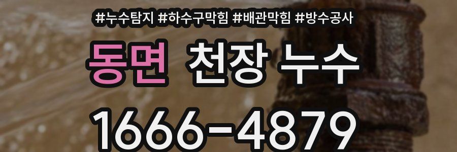 동면 천장 누수