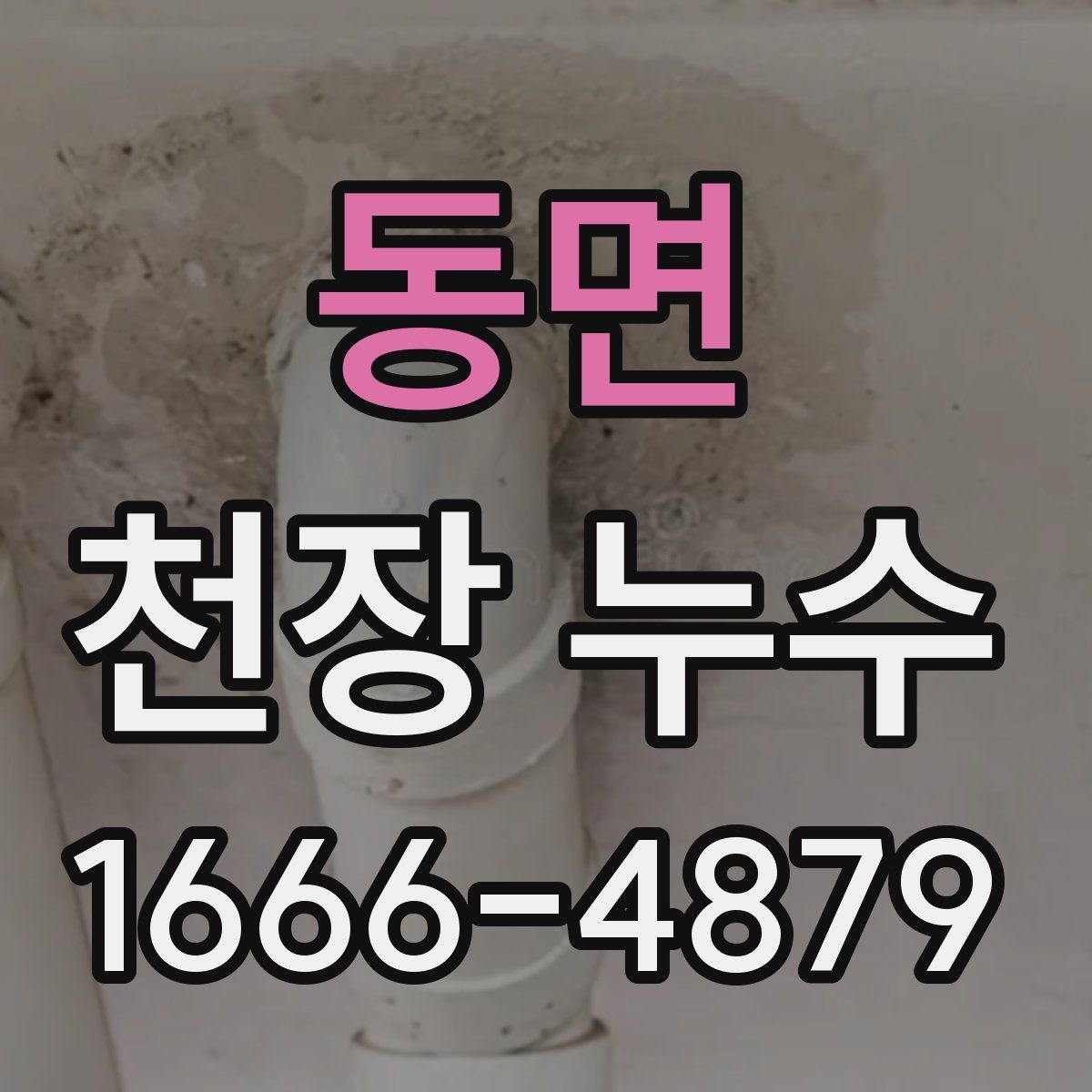 동면 천장 누수